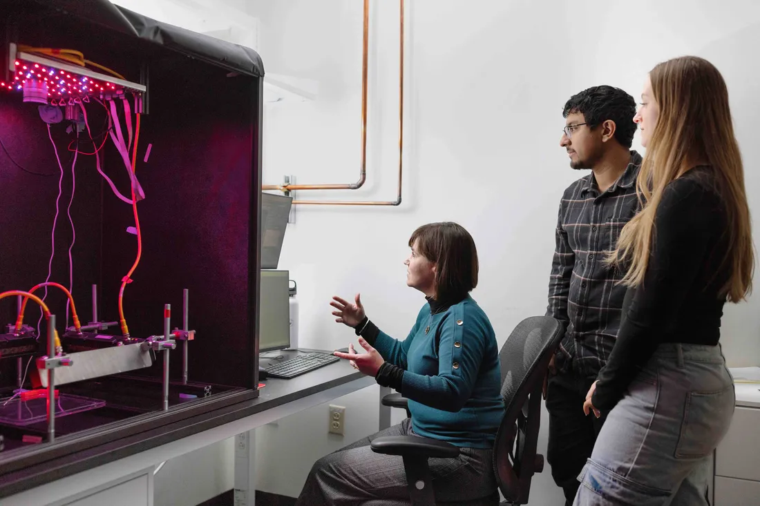 Professor Mirna Mihovilovic Skanata and students in a lab.